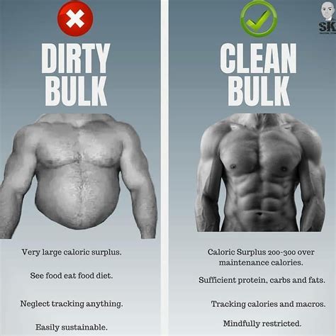 lean bulking vs dirty bulking